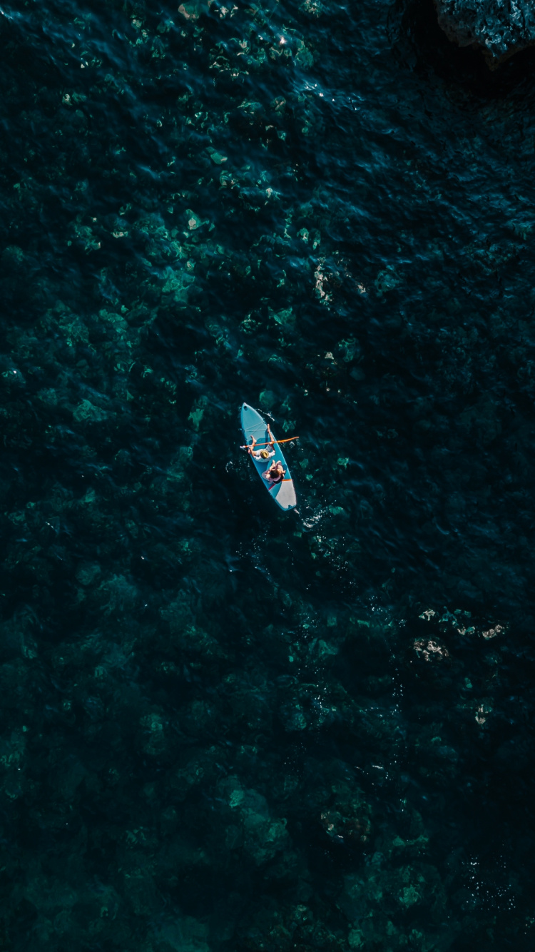 Eau, Biologie Marine, Sciences, Motomarine, Bateau. Wallpaper in 750x1334 Resolution