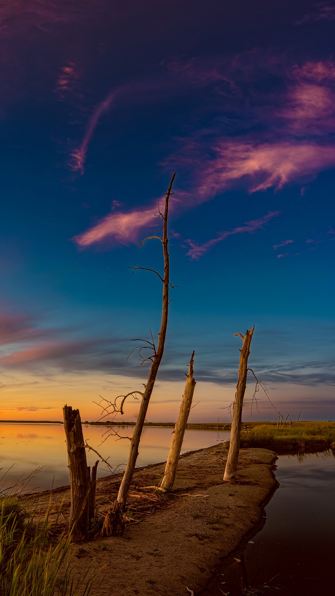 Grünes Gras in Der Nähe Von Gewässern Während Des Sonnenuntergangs. Wallpaper in 1080x1920 Resolution