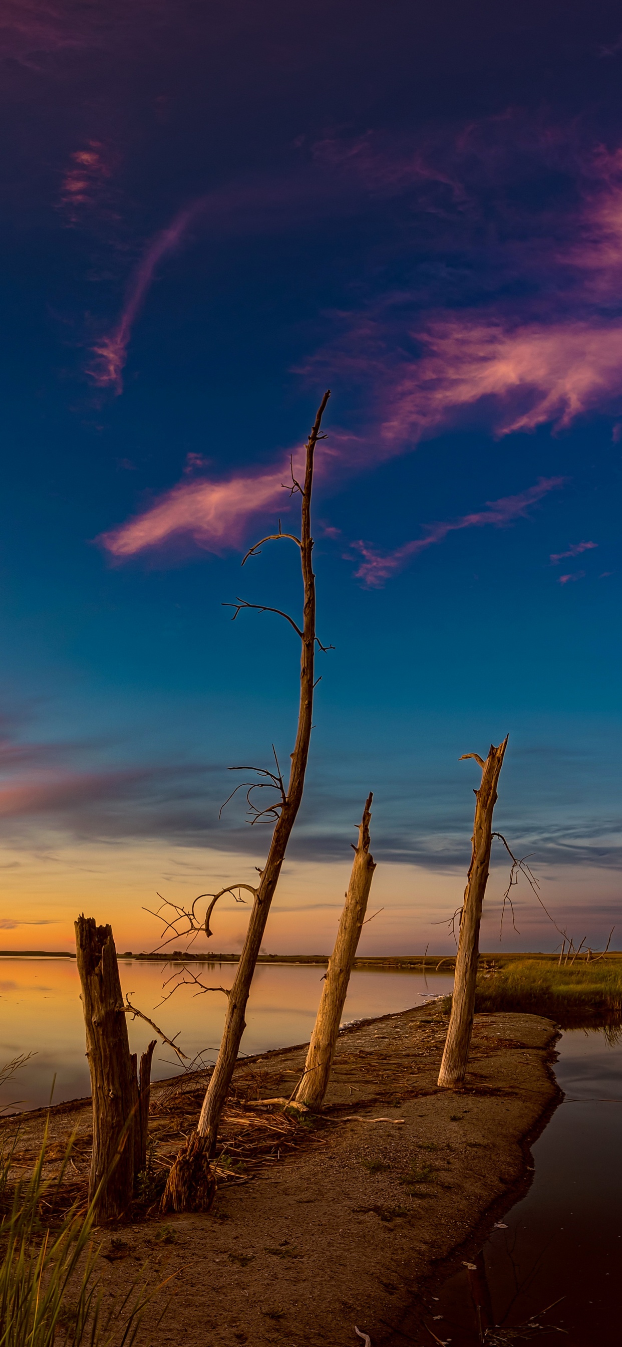 Grünes Gras in Der Nähe Von Gewässern Während Des Sonnenuntergangs. Wallpaper in 1242x2688 Resolution