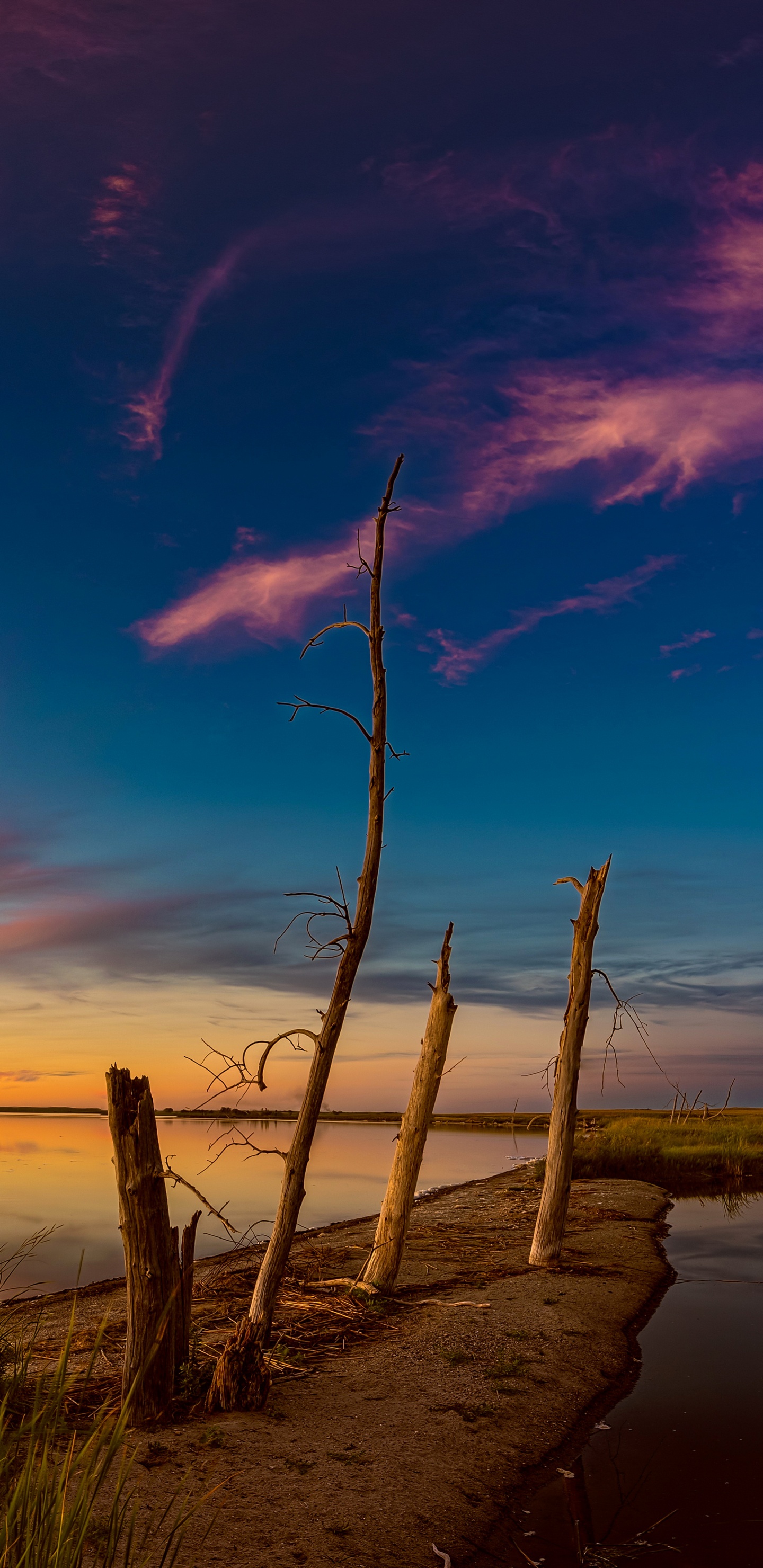 Grünes Gras in Der Nähe Von Gewässern Während Des Sonnenuntergangs. Wallpaper in 1440x2960 Resolution