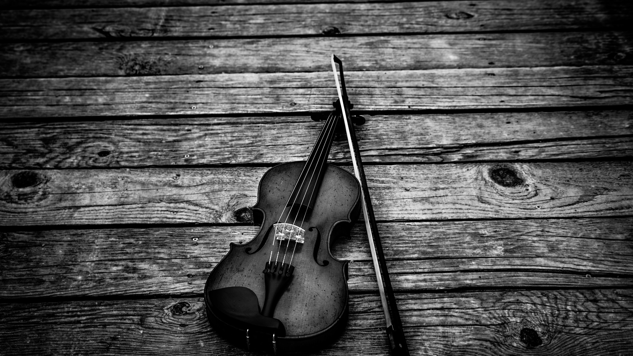 Instrument à Cordes, Instrument de Musique, Noir, Famille Des Violons., Vidéo. Wallpaper in 2560x1440 Resolution