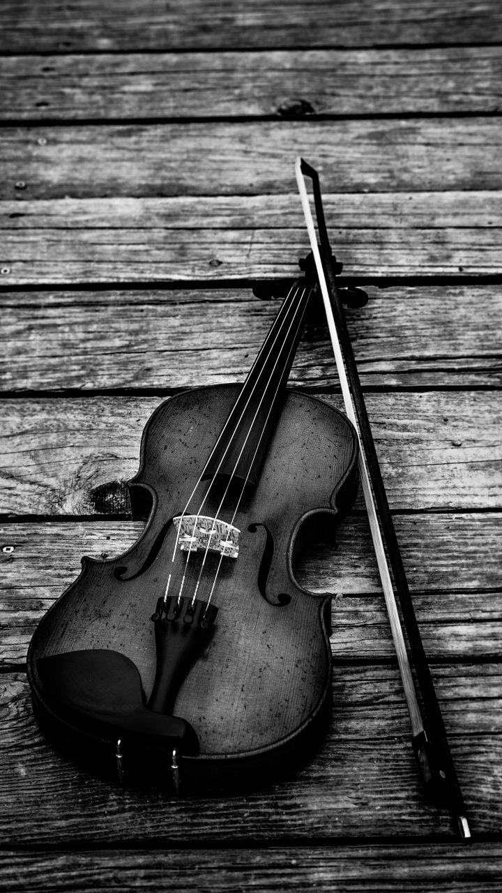 Instrument à Cordes, Instrument de Musique, Noir, Famille Des Violons., Vidéo. Wallpaper in 720x1280 Resolution