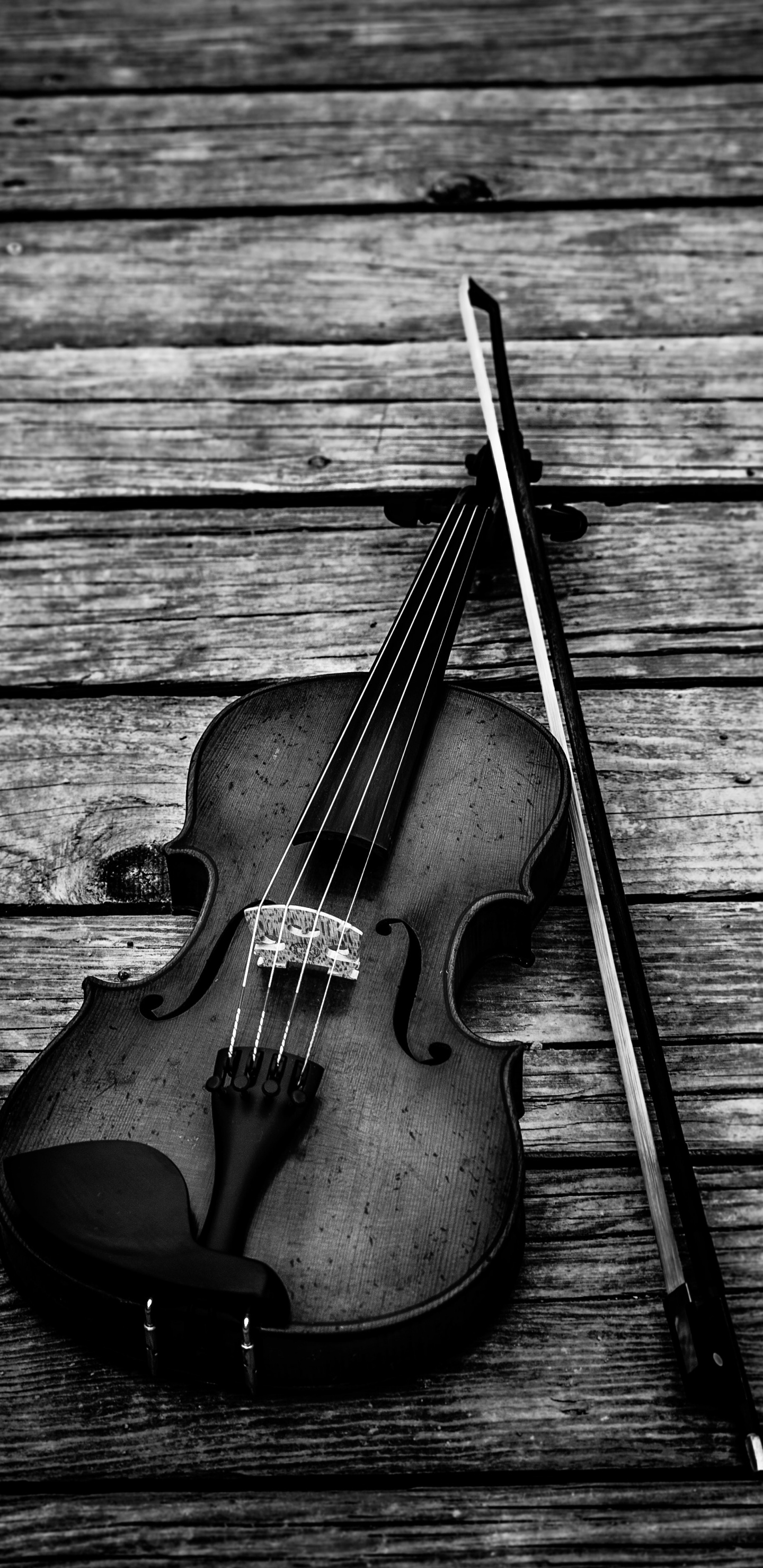 Instrumento de Cuerda, Instrumento Musical, Sica, Negro, Familia Del Violín. Wallpaper in 1440x2960 Resolution