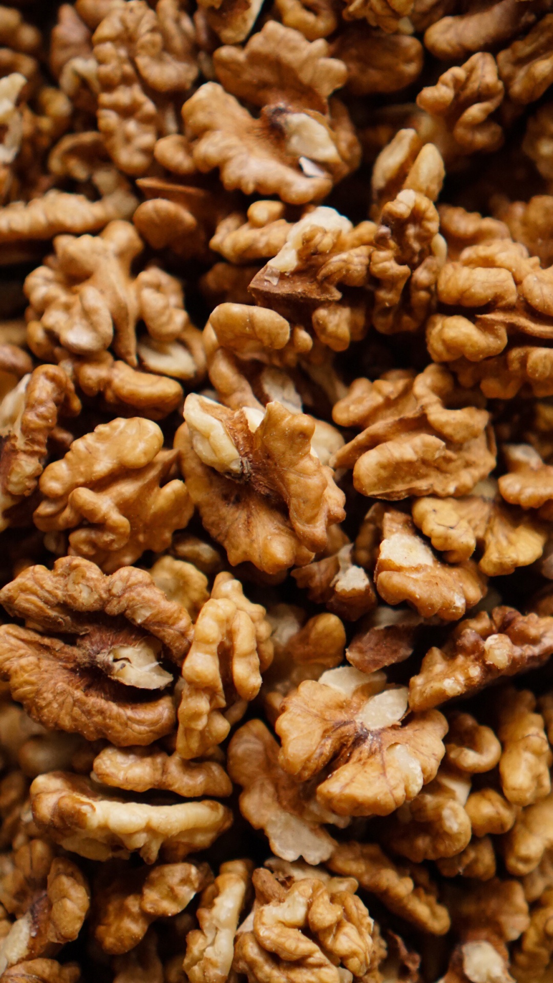 Walnut, Food, Plant, Ingredient, Natural Foods. Wallpaper in 1080x1920 Resolution