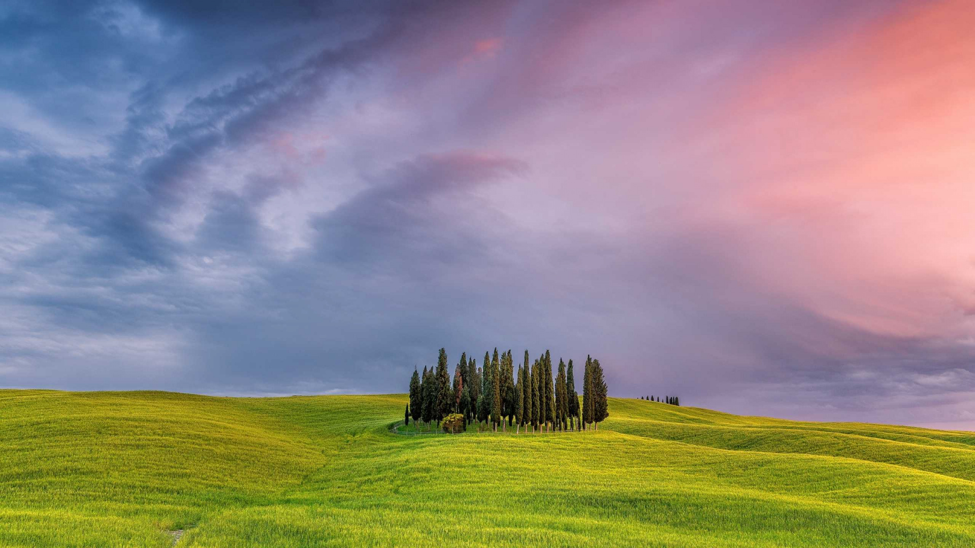 Champ D'herbe Verte Sous Ciel Nuageux. Wallpaper in 1920x1080 Resolution
