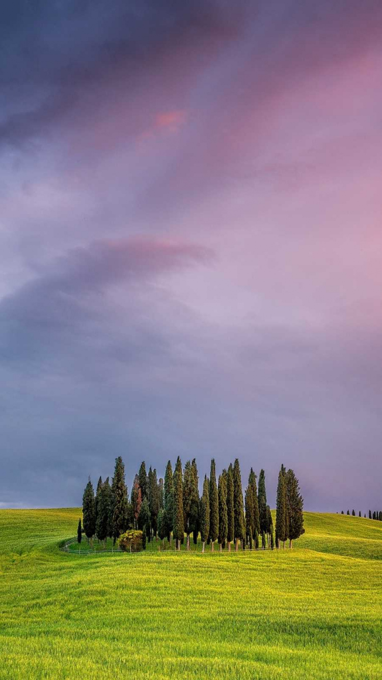 Grüne Wiese Unter Bewölktem Himmel. Wallpaper in 750x1334 Resolution