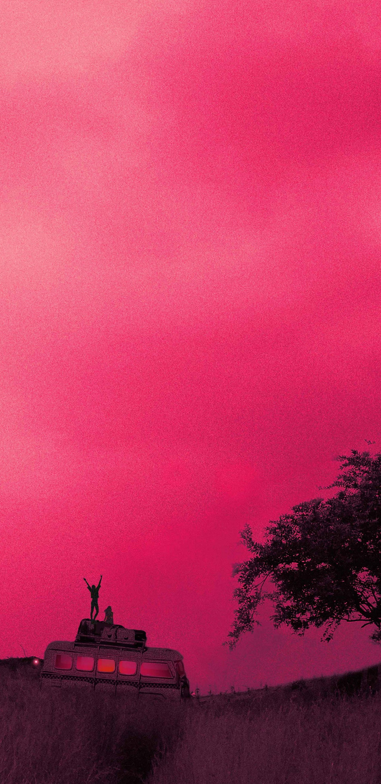 气氛, 生态区, 余辉, 紫色的, 自然景观 壁纸 1440x2960 允许