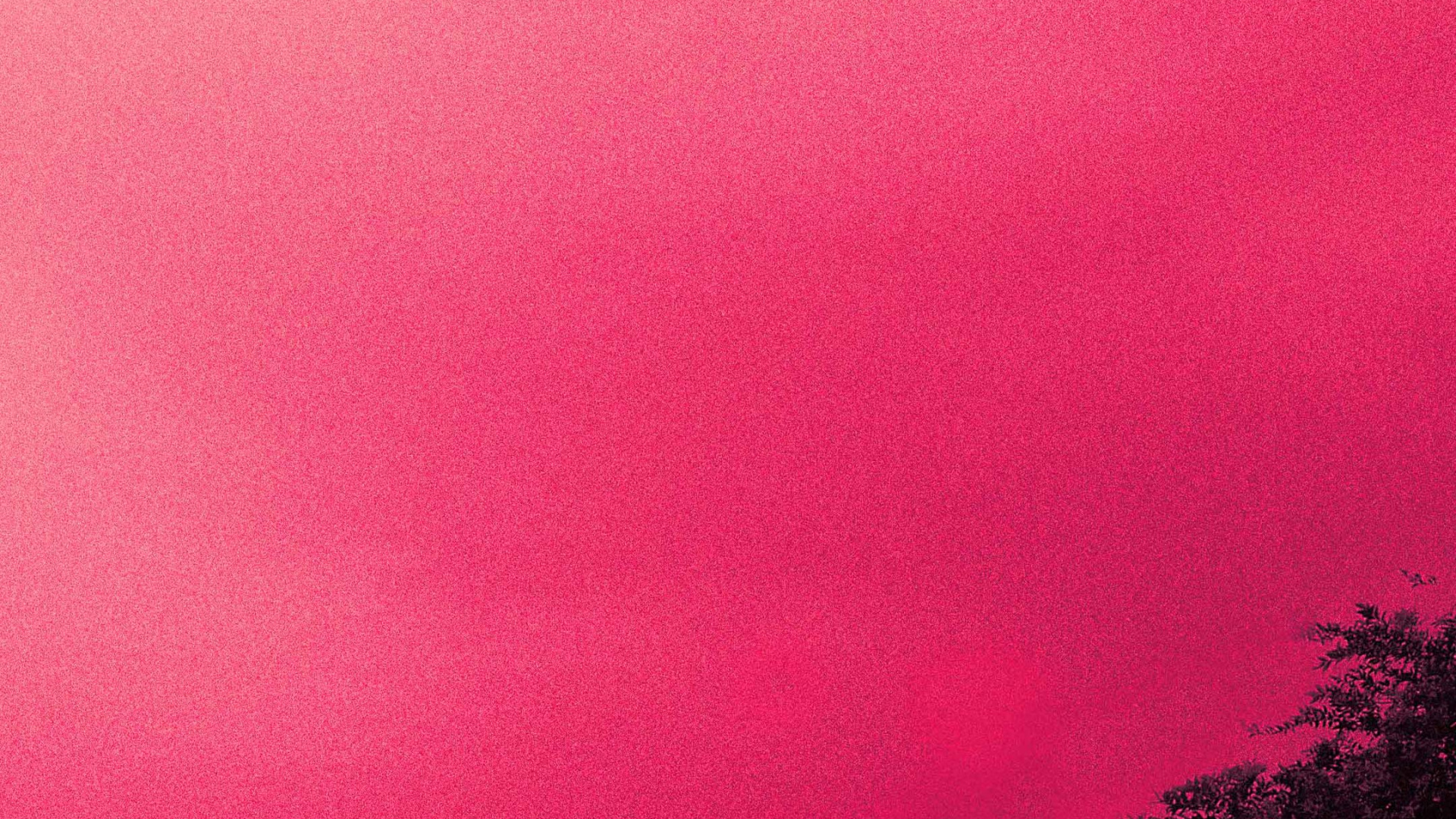 气氛, 生态区, 余辉, 紫色的, 自然景观 壁纸 1920x1080 允许