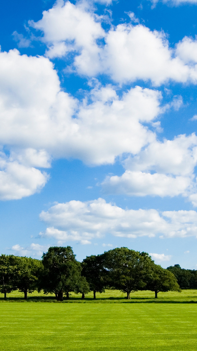 Green Grass Field Under Blue Sky and White Clouds During Daytime. Wallpaper in 750x1334 Resolution