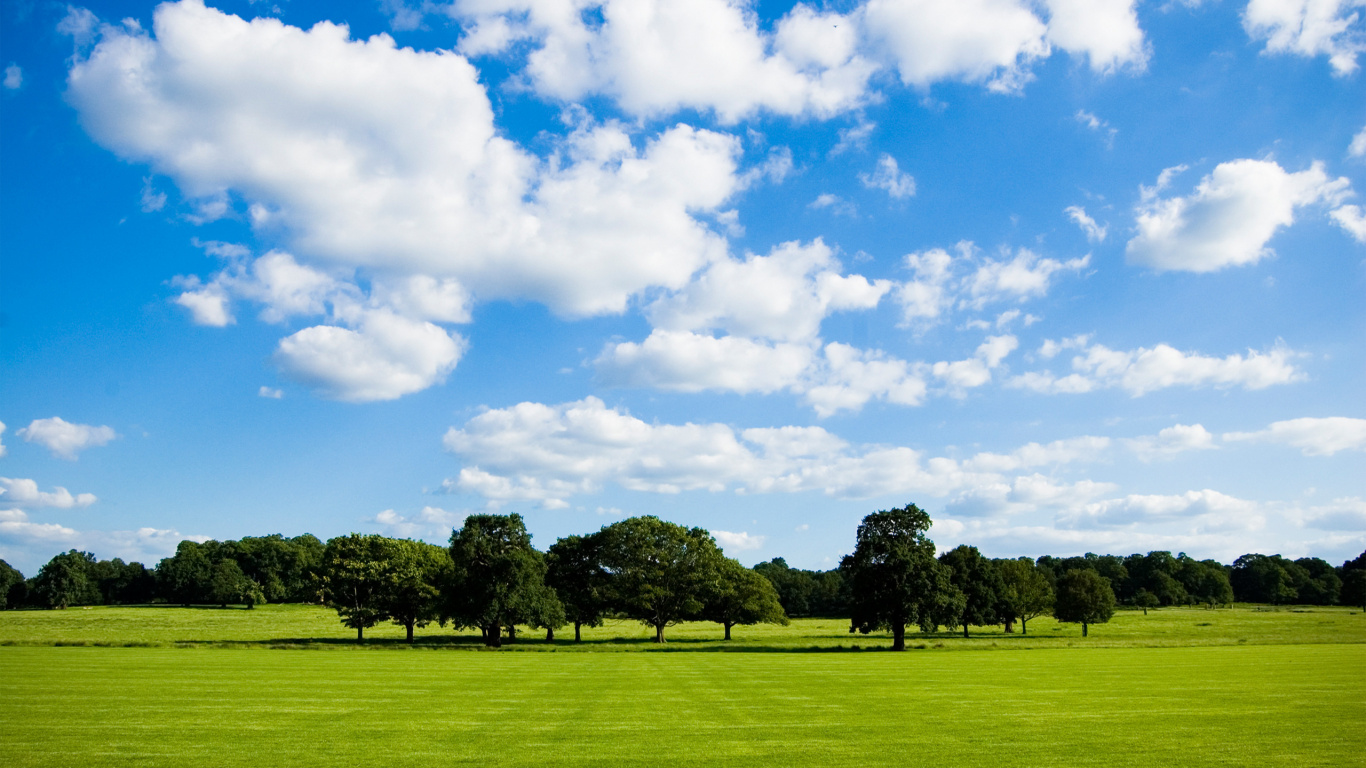 Grüne Wiese Unter Blauem Himmel Und Weißen Wolken Tagsüber. Wallpaper in 1366x768 Resolution