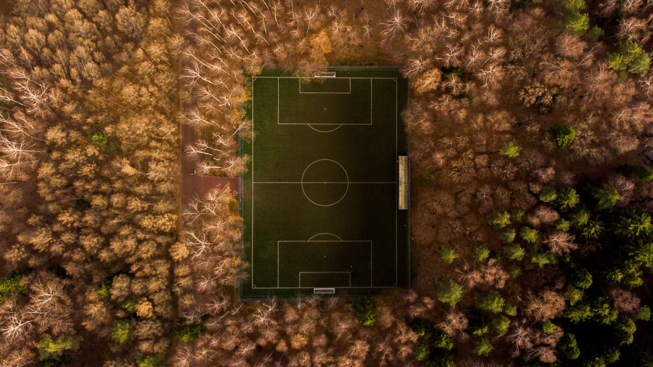 Gr, Wand, Gras, Baum, Blatt. Wallpaper in 1280x720 Resolution