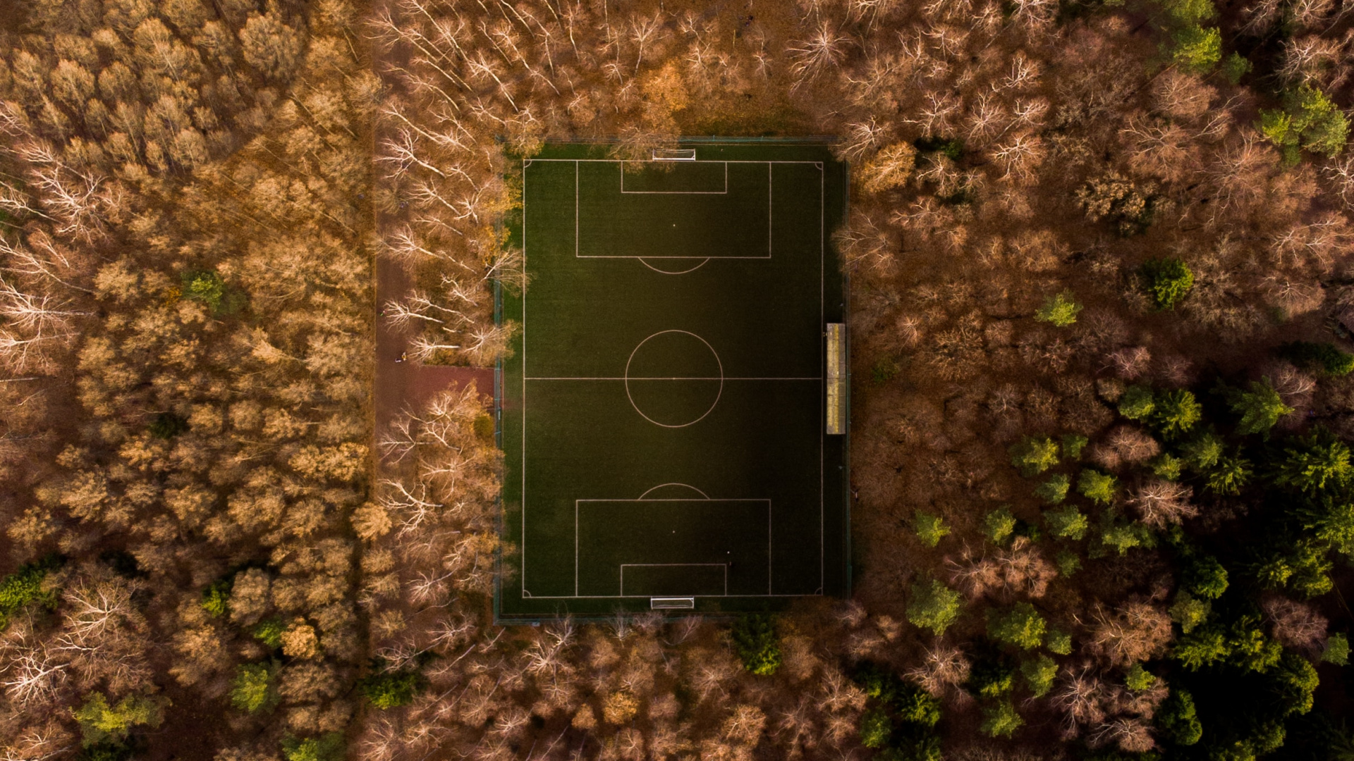 Green, Wall, Grass, Tree, Leaf. Wallpaper in 1920x1080 Resolution