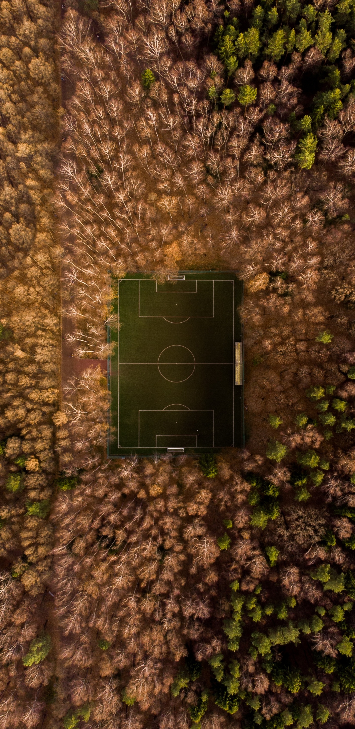 Verde, Suelo, Cañón de la Pistola, la Vegetación, Udugama. Wallpaper in 1440x2960 Resolution