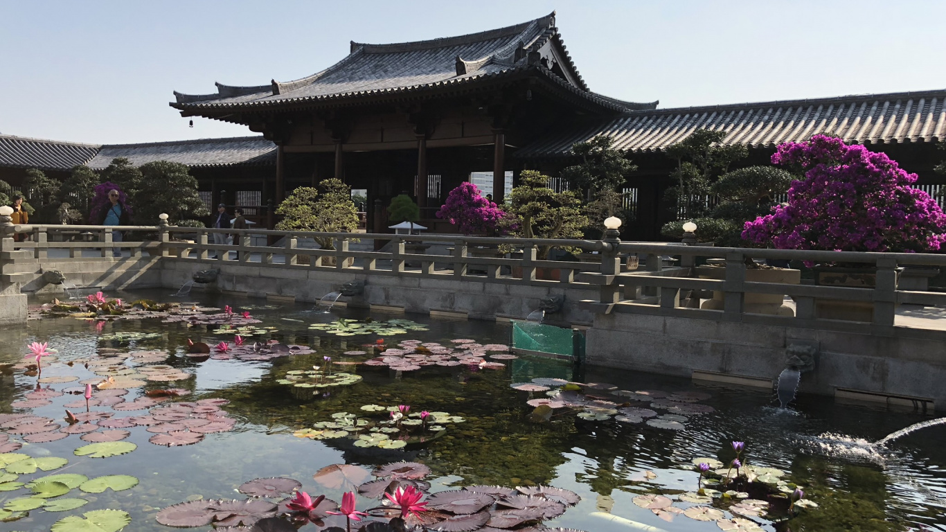 Hong Kong, Chinese Architecture, Tourism, Water, Tourist Attraction. Wallpaper in 1366x768 Resolution