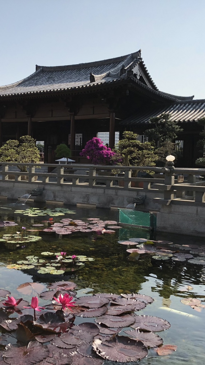 Hong Kong, Chinese Architecture, Tourism, Water, Tourist Attraction. Wallpaper in 720x1280 Resolution