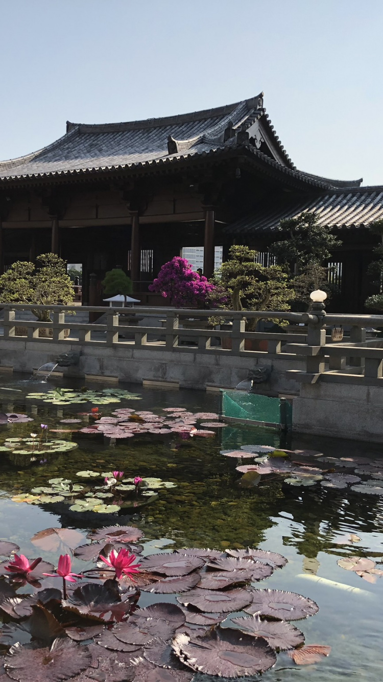Hong Kong, Chinese Architecture, Tourism, Water, Tourist Attraction. Wallpaper in 750x1334 Resolution