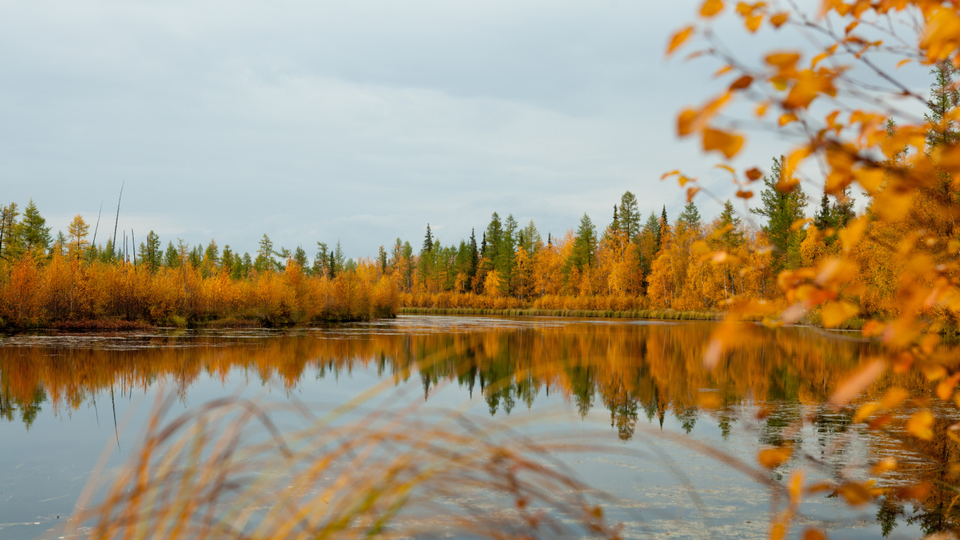 Green Trees Beside Lake Under Cloudy Sky During Daytime. Wallpaper in 1366x768 Resolution
