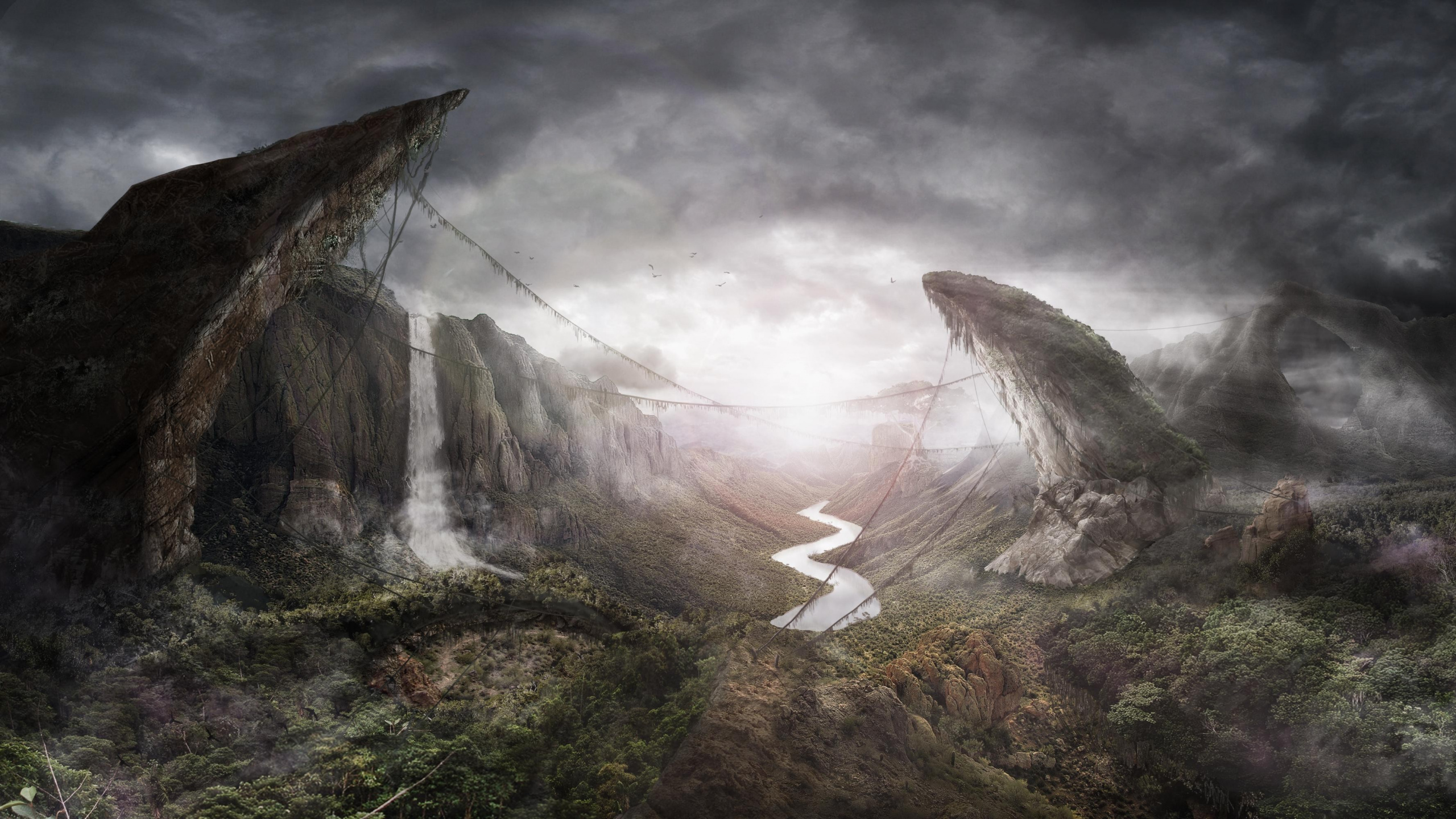 自然景观, 热带雨林, 形成, 森林, 丛林 壁纸 2560x1440 允许