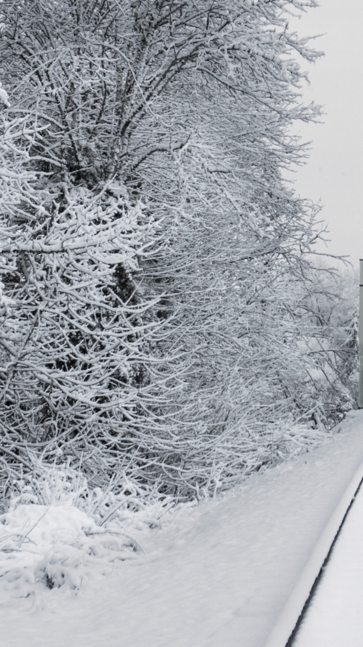 Bahngleise im Schnee, Zug, Schienenverkehr, Schnee, Spur. Wallpaper in 1440x2560 Resolution