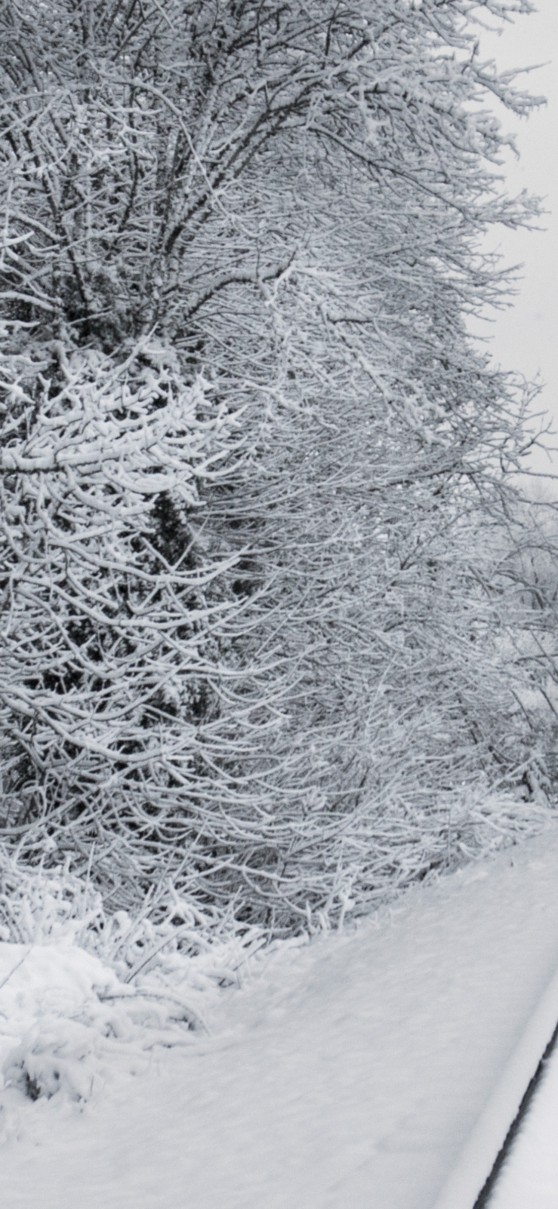 Train Tracks in Snow, Train, Rail Transport, Snow, Track. Wallpaper in 1125x2436 Resolution