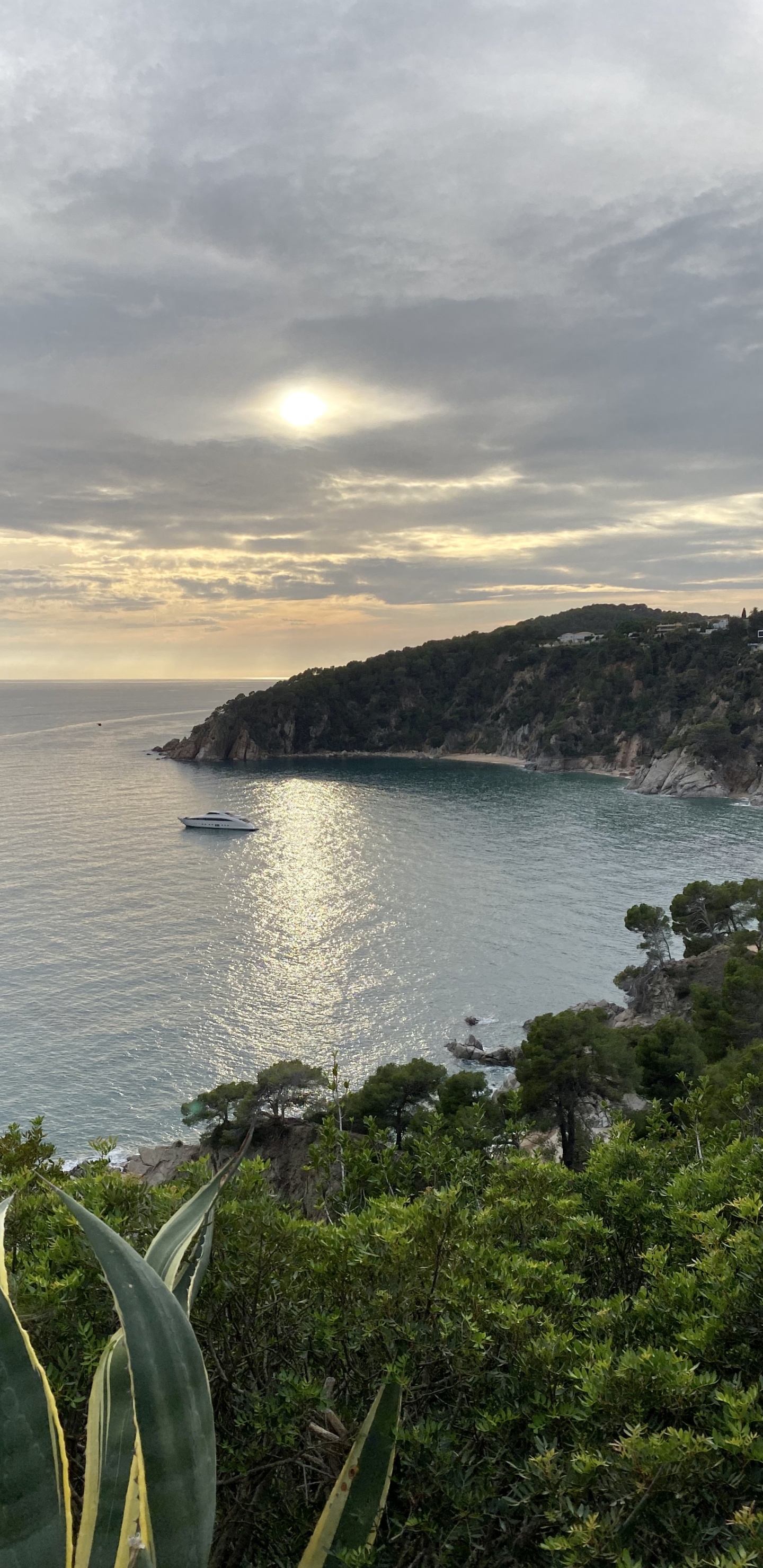 Meer, Gewässer, Bergigen Landschaftsformen, Natur, Vegetation. Wallpaper in 1440x2960 Resolution
