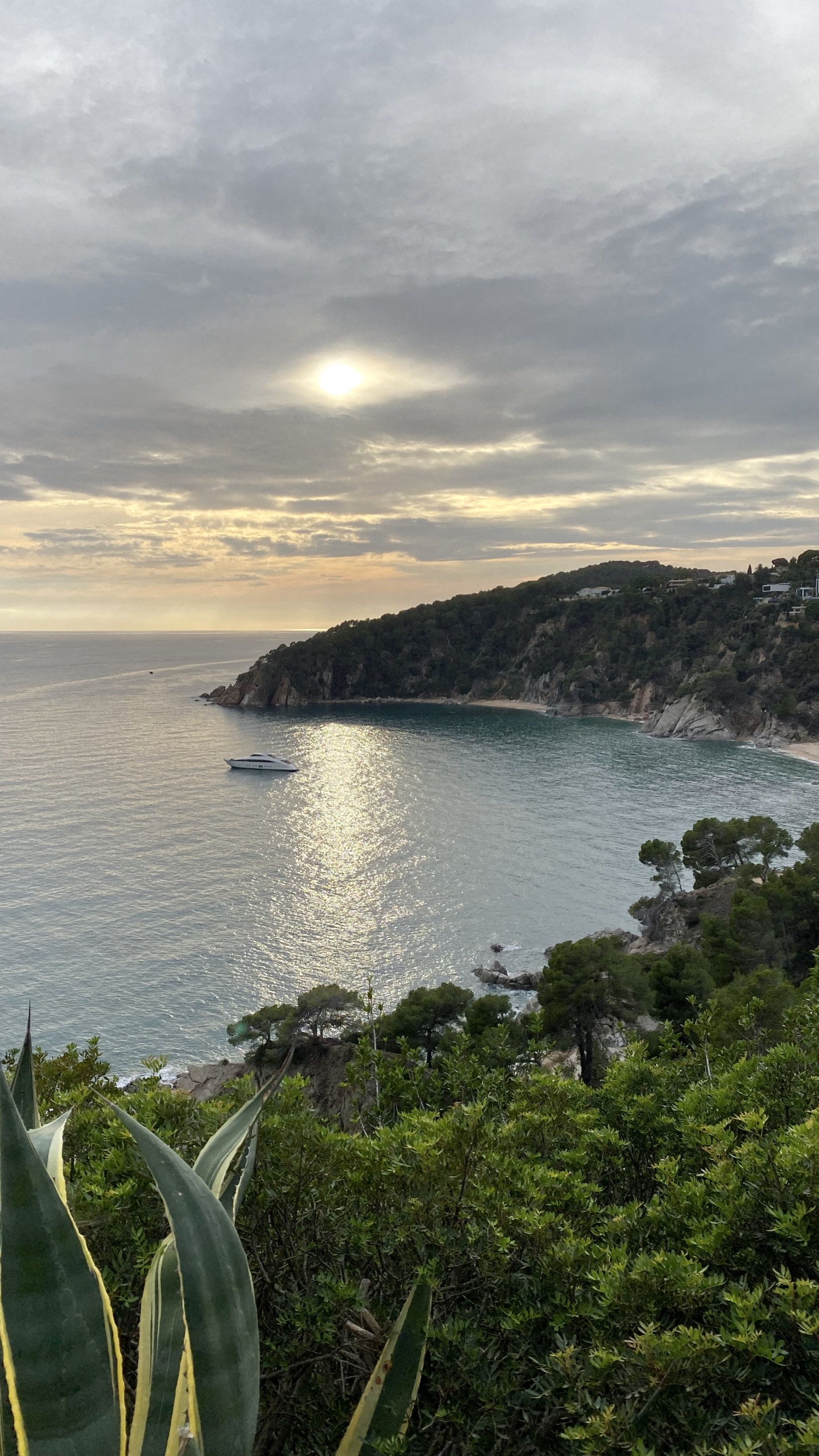 Sea, Body of Water, Mountainous Landforms, Nature, Vegetation. Wallpaper in 1440x2560 Resolution