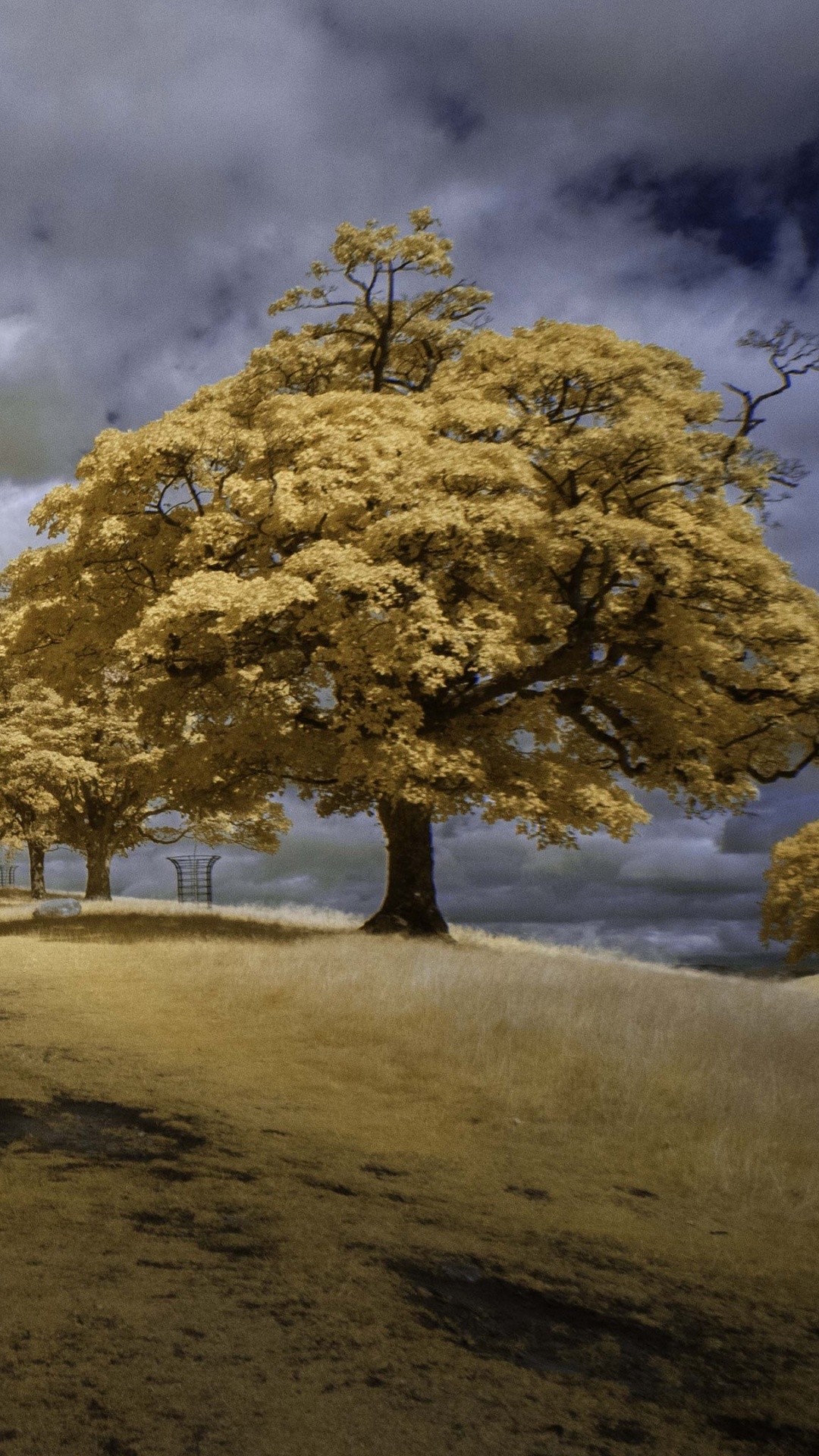 Arbres Verts Sur Champ Brun Sous Des Nuages Blancs et Ciel Bleu Pendant la Journée. Wallpaper in 1080x1920 Resolution