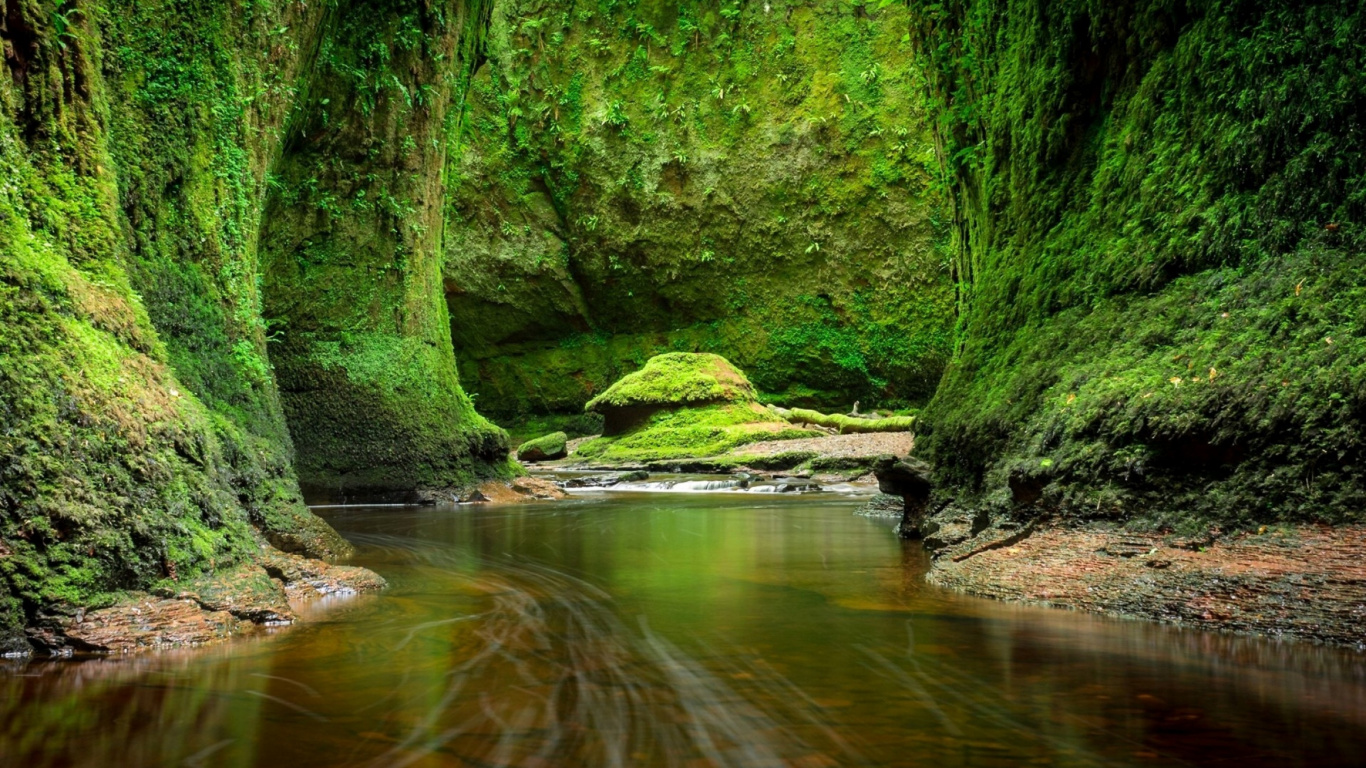 Mousse Verte Sur Brown Tree Log on River. Wallpaper in 1366x768 Resolution