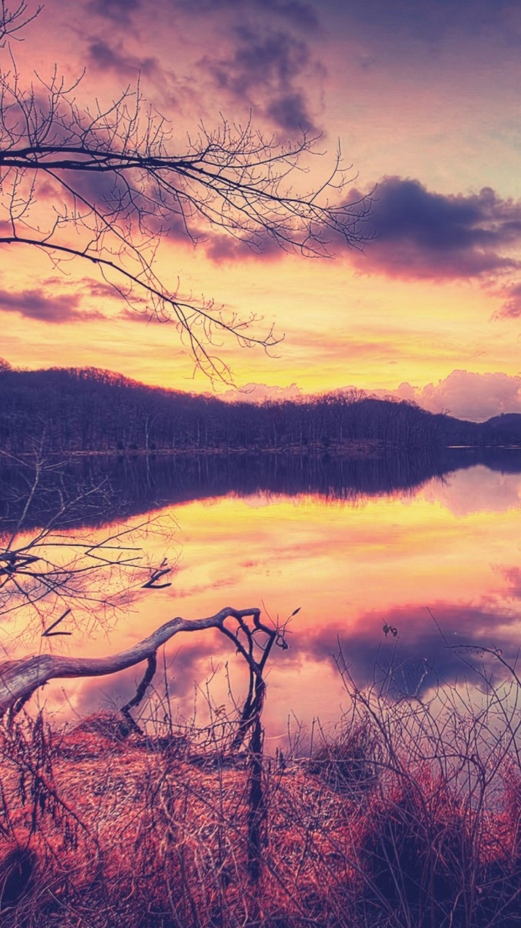 Natur, Naturlandschaft, Branch, Reflexion, Baum. Wallpaper in 750x1334 Resolution