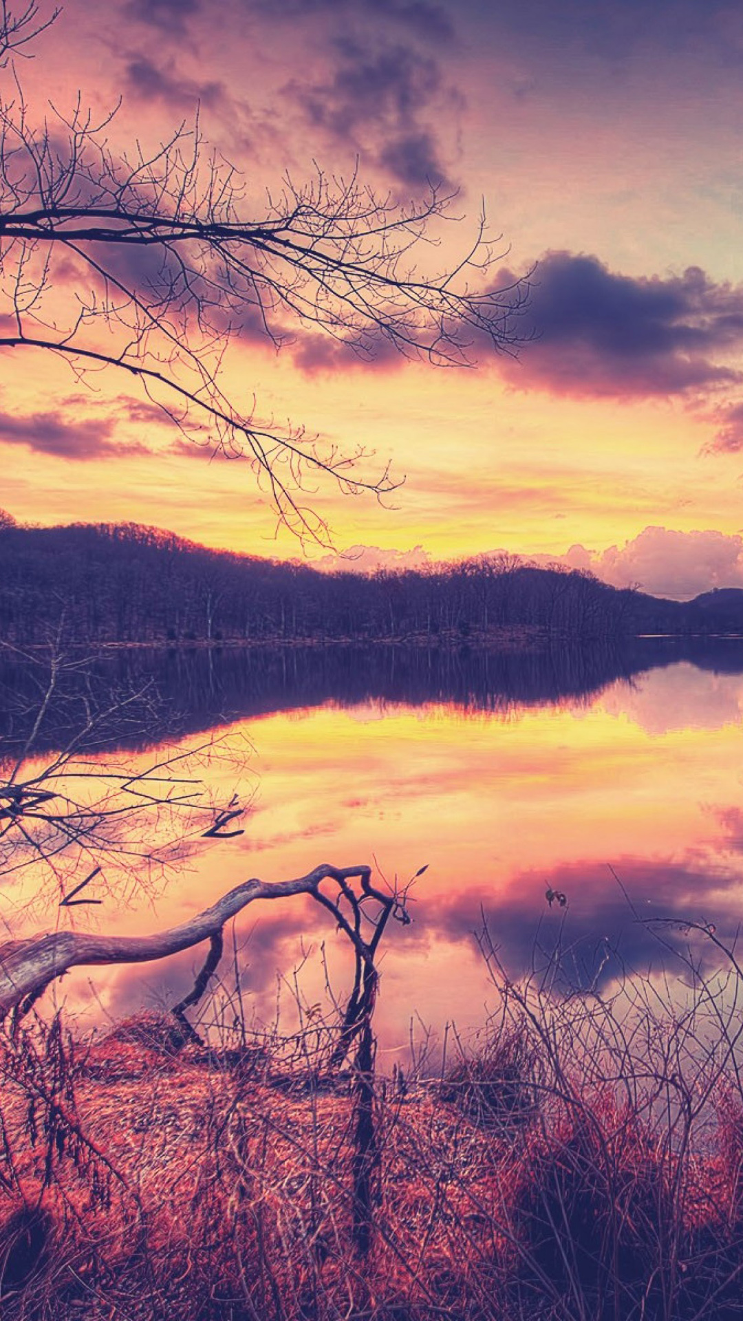 Nature, Natural Landscape, Branch, Reflection, Tree. Wallpaper in 1080x1920 Resolution