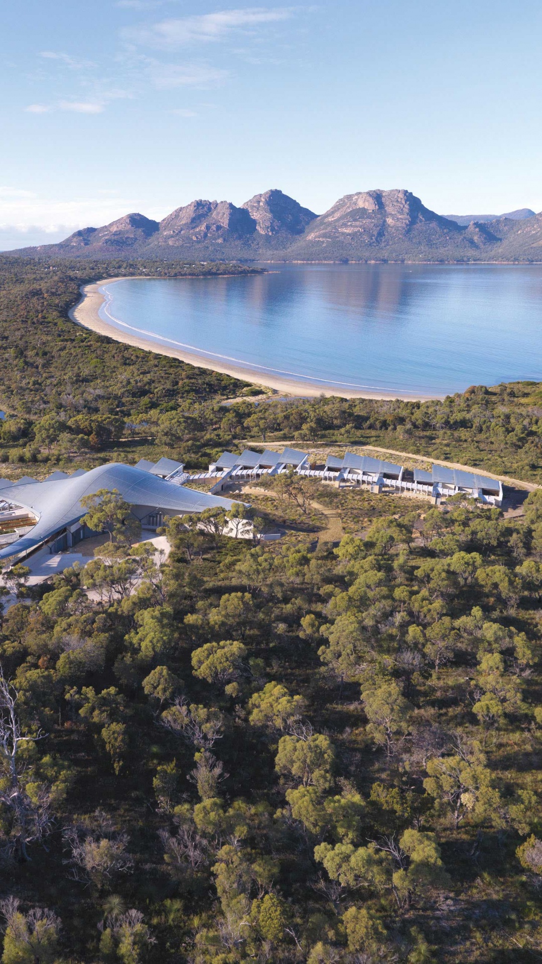 Árboles Verdes Cerca Del Cuerpo de Agua Durante el Día. Wallpaper in 1080x1920 Resolution