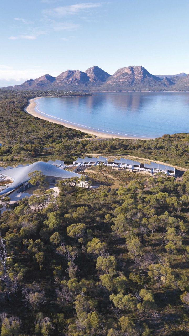 Árboles Verdes Cerca Del Cuerpo de Agua Durante el Día. Wallpaper in 720x1280 Resolution