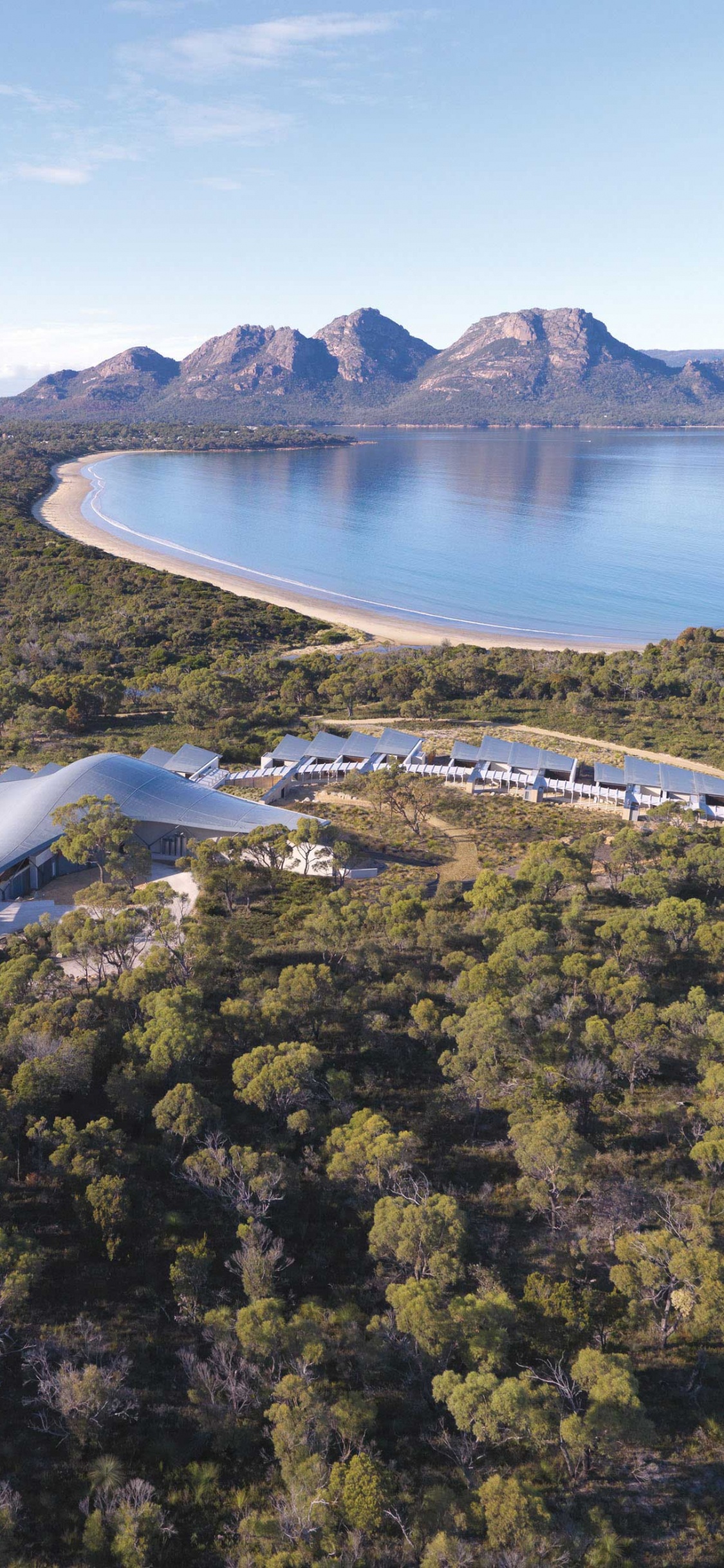 Grüne Bäume in Der Nähe Von Gewässern Tagsüber Water. Wallpaper in 1125x2436 Resolution