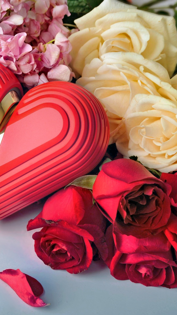 Valentines Day, Bouquet, Flower, Red, Cut Flowers. Wallpaper in 720x1280 Resolution