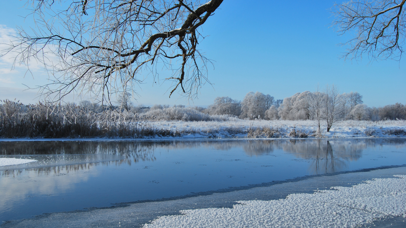 Leafless Tree on Snow Covered Ground Near Lake During Daytime. Wallpaper in 1366x768 Resolution