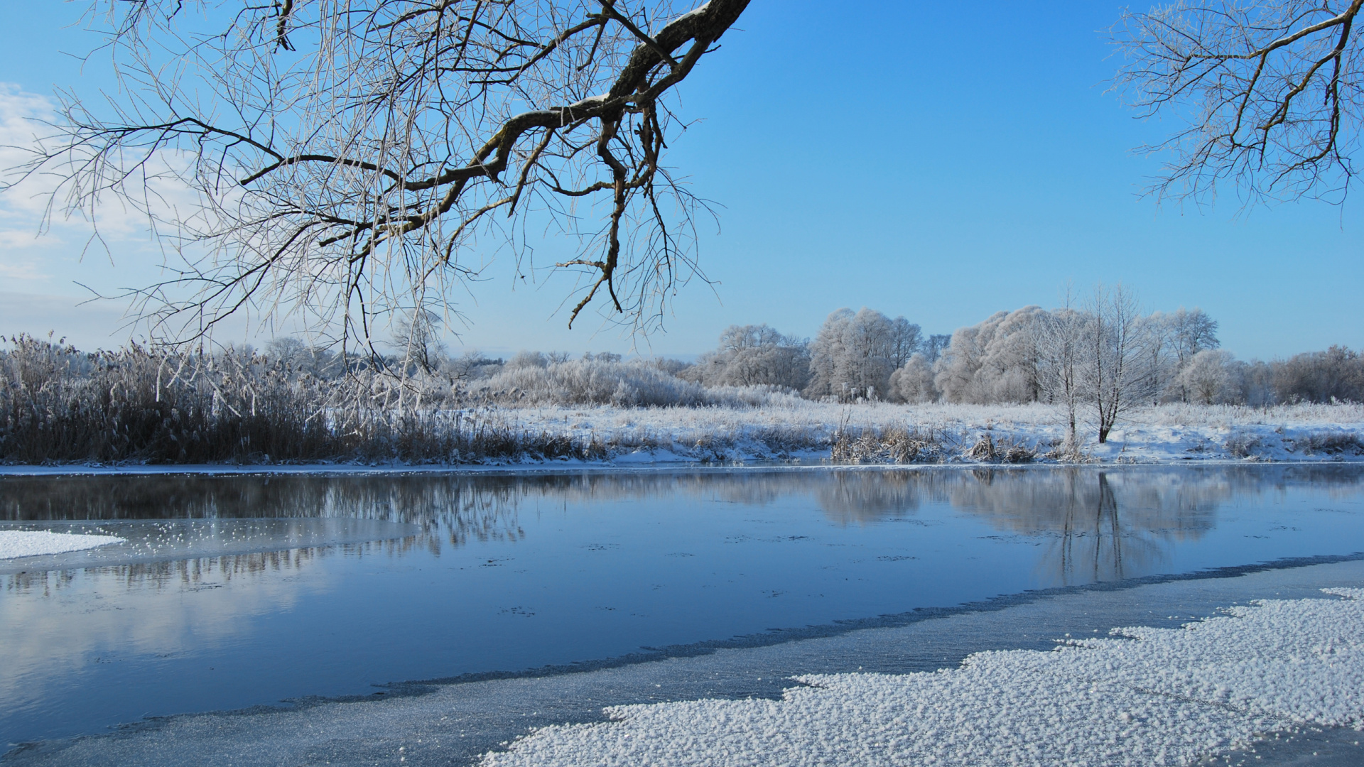 Leafless Tree on Snow Covered Ground Near Lake During Daytime. Wallpaper in 1920x1080 Resolution