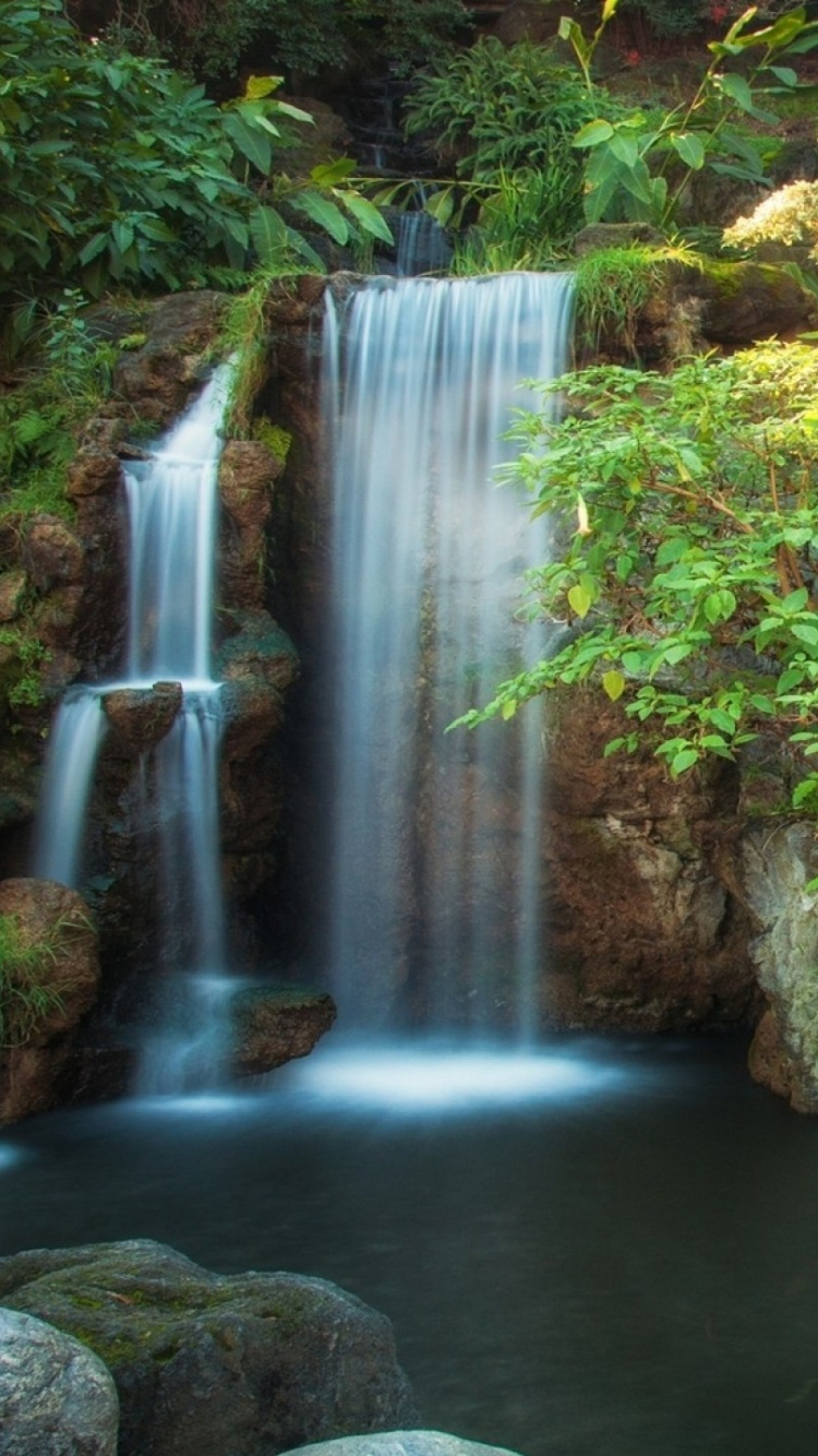 Hojas Verdes y Amarillas Cerca de Cascadas. Wallpaper in 750x1334 Resolution