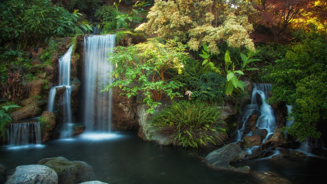 Green and Yellow Leaves Near Waterfalls. Wallpaper in 1280x720 Resolution