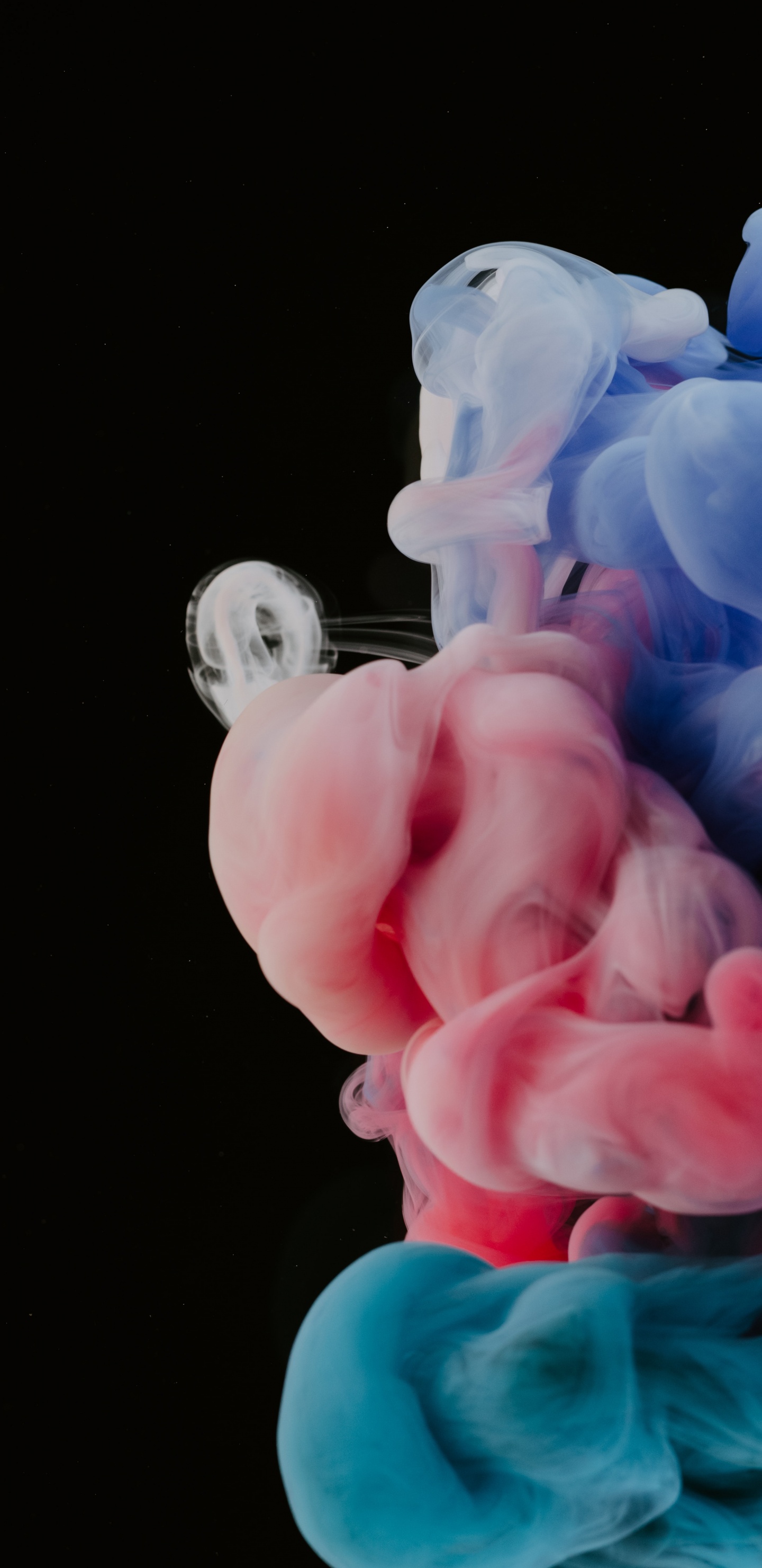 Apple, IOS, la Décoration de Gâteaux, Cerise, Art. Wallpaper in 1440x2960 Resolution