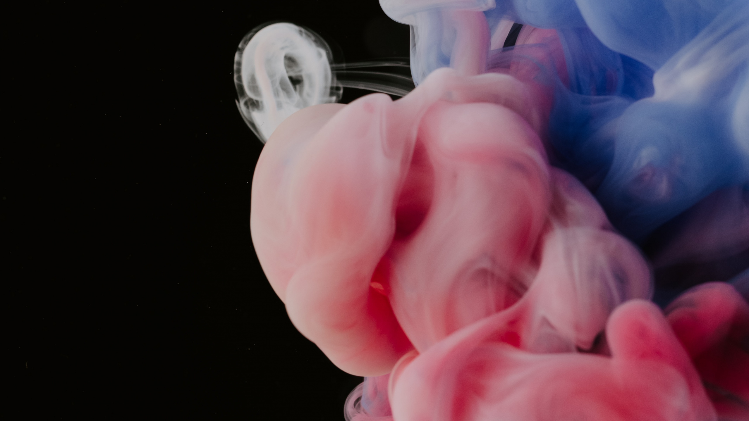 Apples, Ios, Cake Decorating, Cloud, Icing. Wallpaper in 2560x1440 Resolution