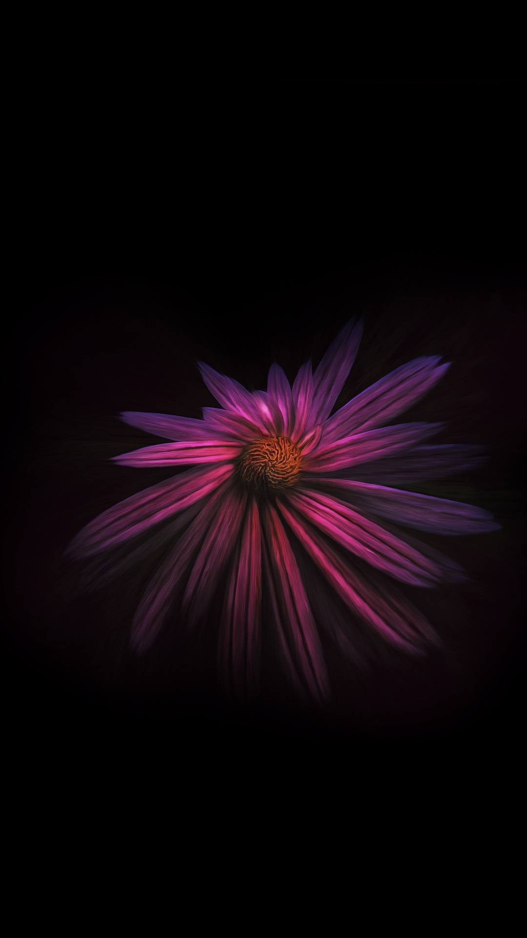Flower, Black, Plant, Petal, Purple. Wallpaper in 1080x1920 Resolution