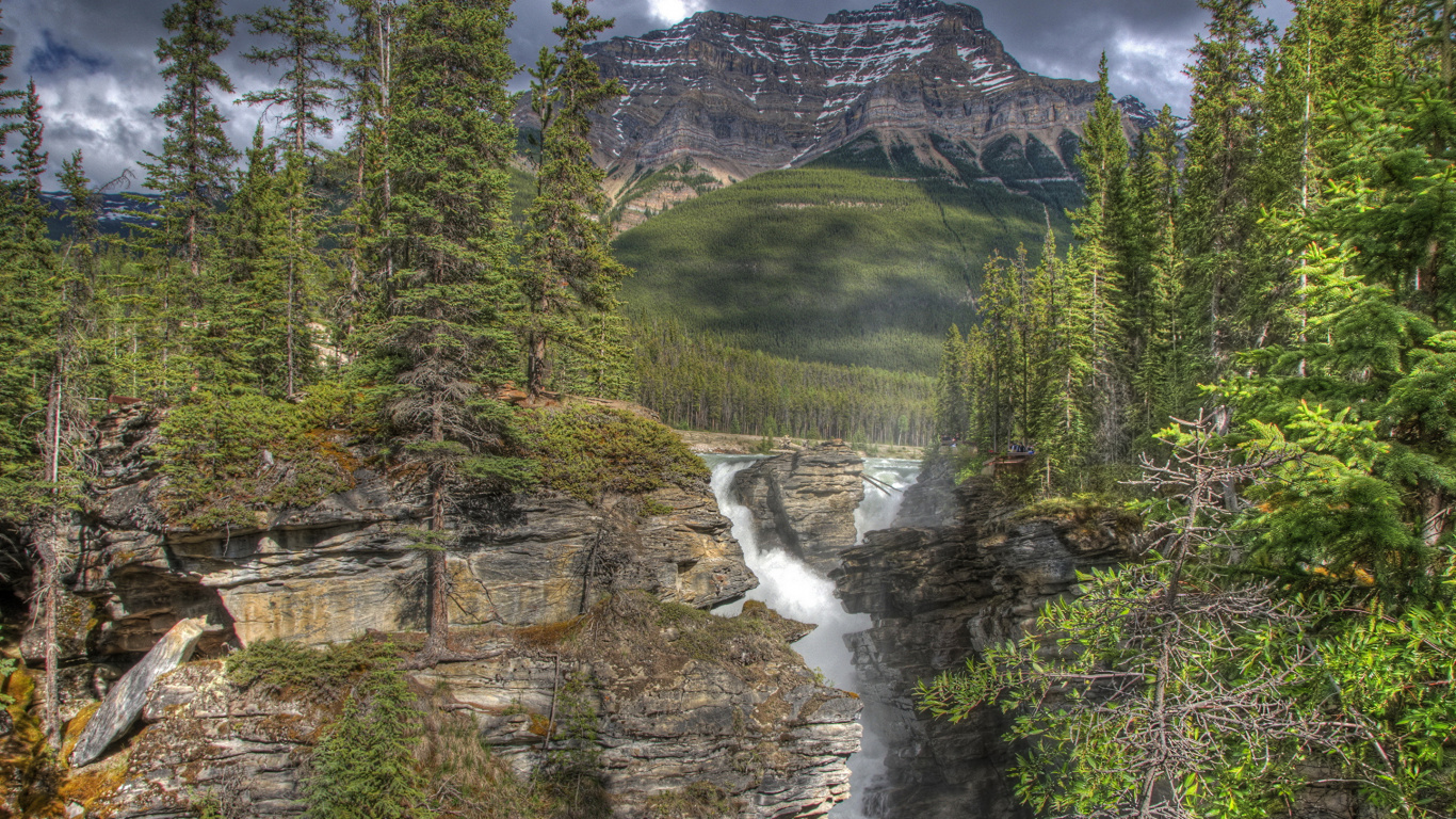 Pinos Verdes Cerca Del Río Durante el Día. Wallpaper in 1366x768 Resolution