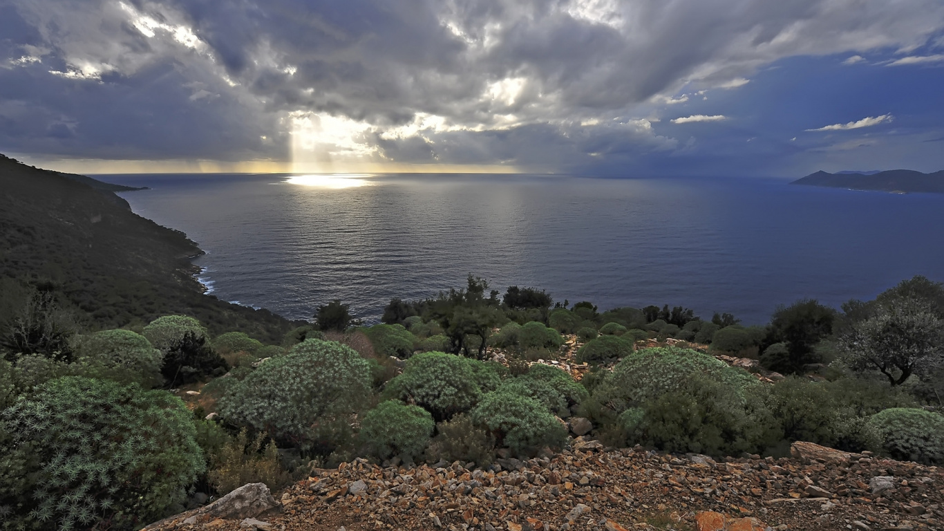 Árboles Verdes Cerca Del Cuerpo de Agua Bajo un Cielo Azul Durante el Día. Wallpaper in 1366x768 Resolution