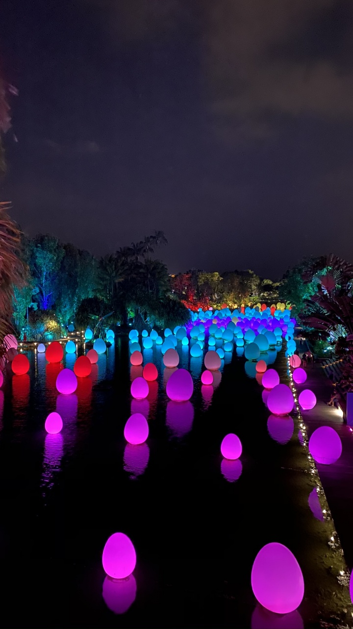 Luz, la Física, Estadísticas, Ciencia, Morado. Wallpaper in 720x1280 Resolution