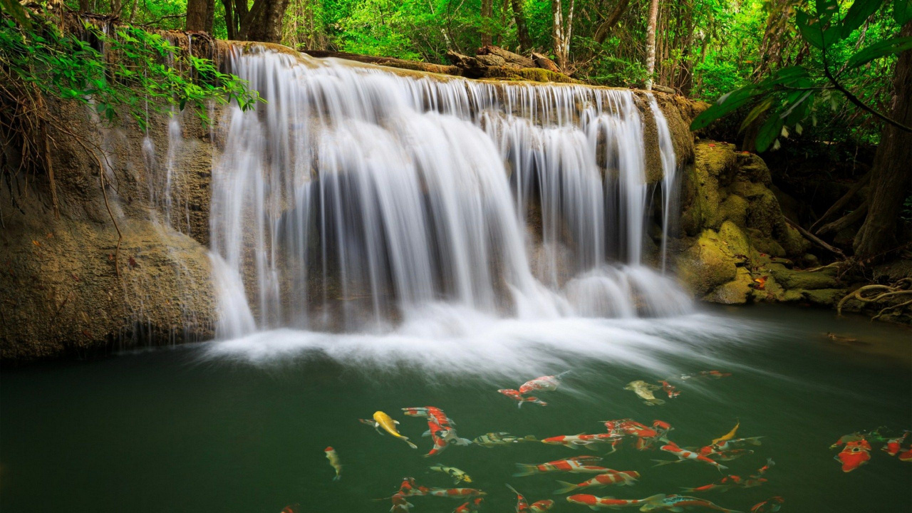 Grünes Wasser Mit Wasserfällen. Wallpaper in 1280x720 Resolution