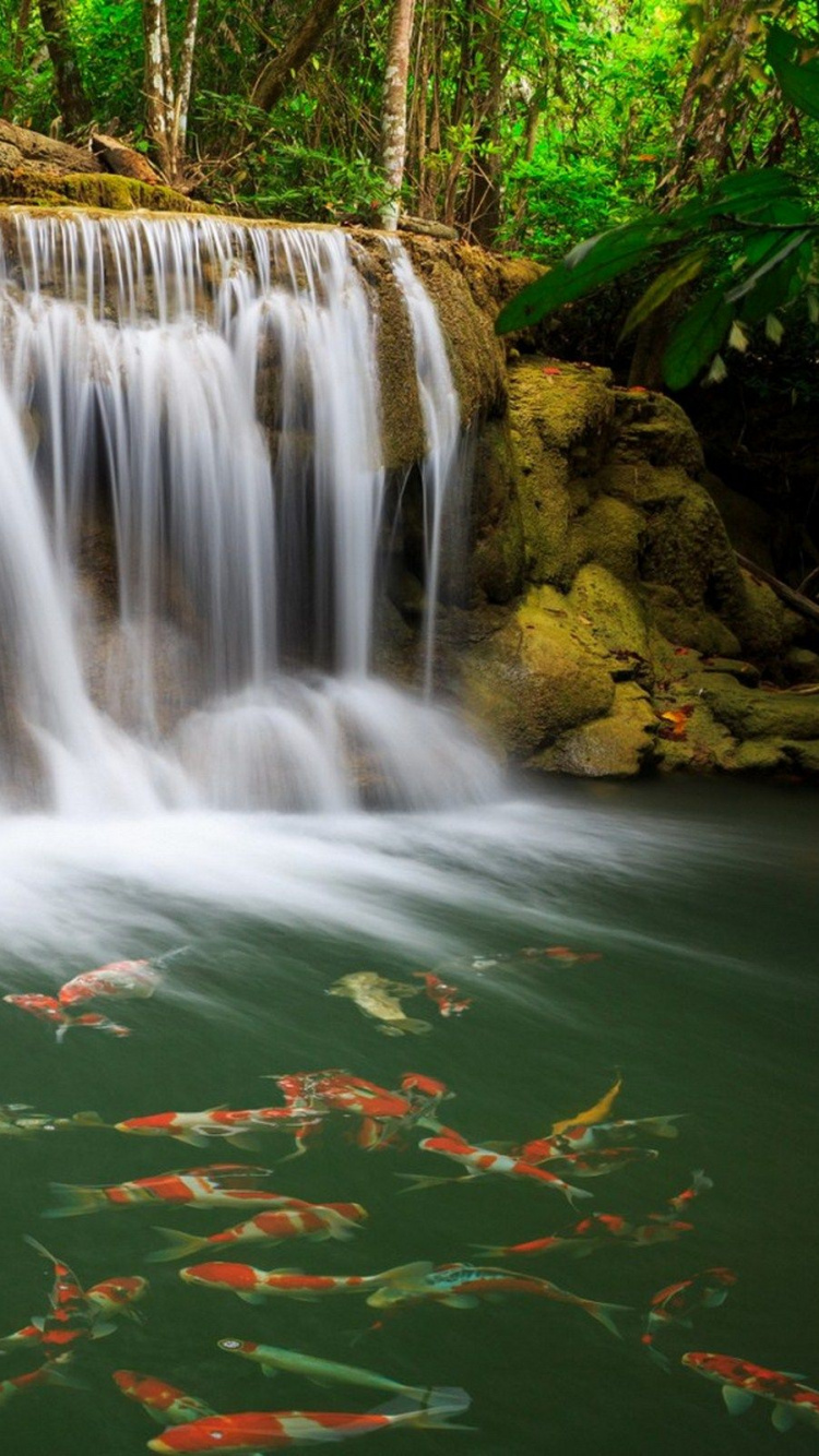 Grünes Wasser Mit Wasserfällen. Wallpaper in 750x1334 Resolution