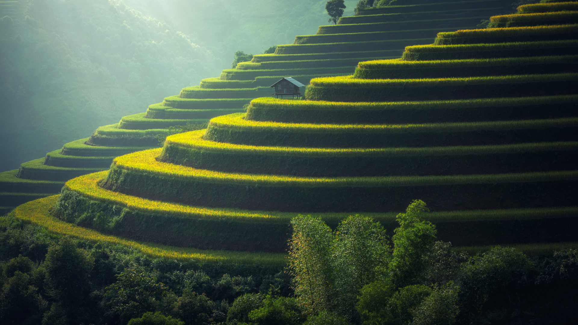 性质, 绿色的, 露台, 山站, 草 壁纸 1920x1080 允许