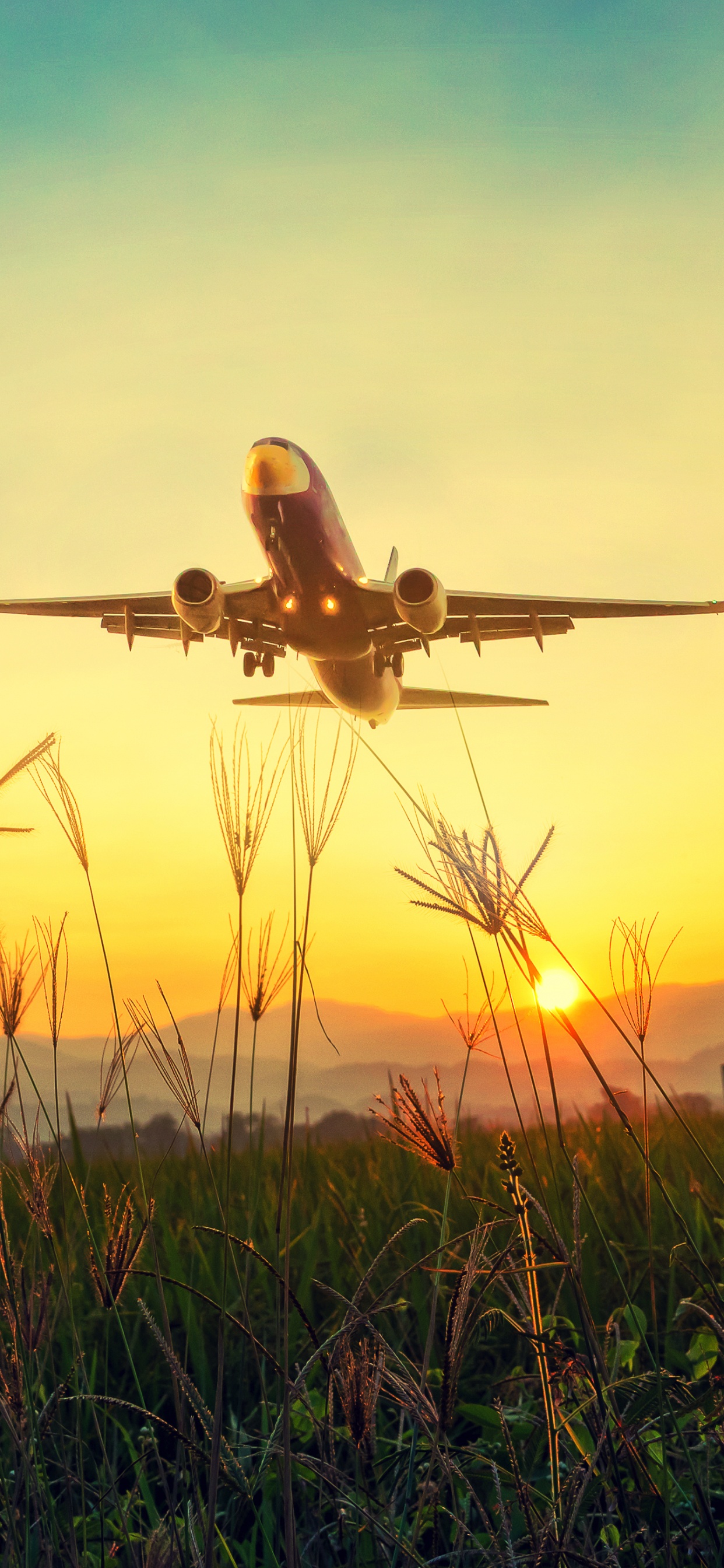 Silhouette of Airplane Flying Over Green Grass During Sunset. Wallpaper in 1242x2688 Resolution