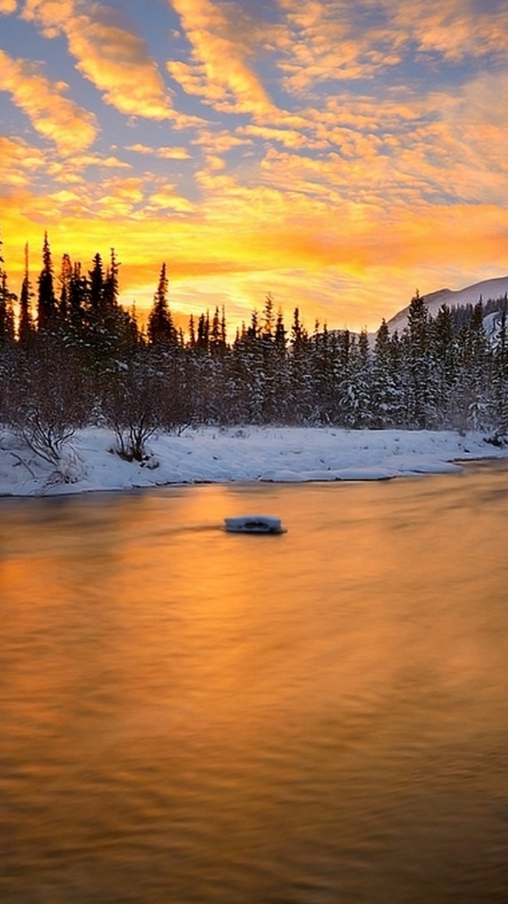 Snow Covered Trees and Mountain During Daytime. Wallpaper in 720x1280 Resolution