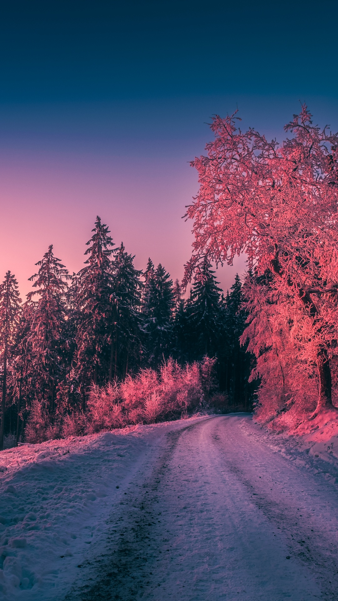 Sonnenuntergang, Atmosphäre, Cloud, Naturlandschaft, Baum. Wallpaper in 1080x1920 Resolution